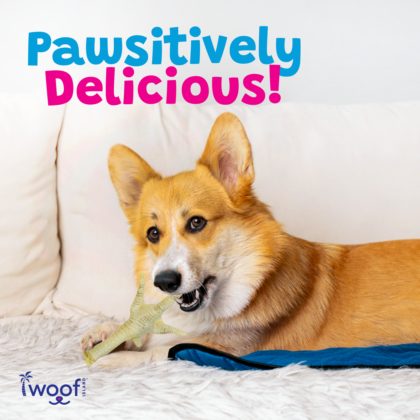 Puffed Chicken Feet Dog Treats – 20 Pack