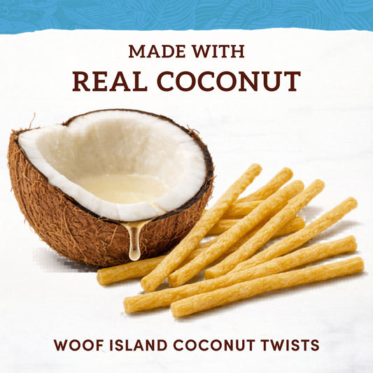 The Benefits of Coconut Oil for Dogs