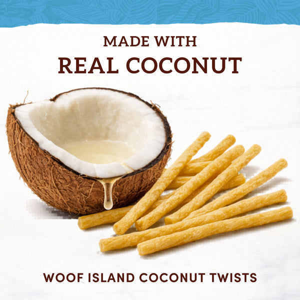 The Benefits of Coconut Oil for Dogs