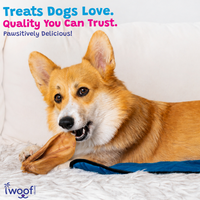Woof Island Whole Pig Ear Dog Chew, Natural High-Protein Crunchy Dental Treat for Dogs