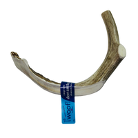 Deer Antler Chew for Dogs – XL