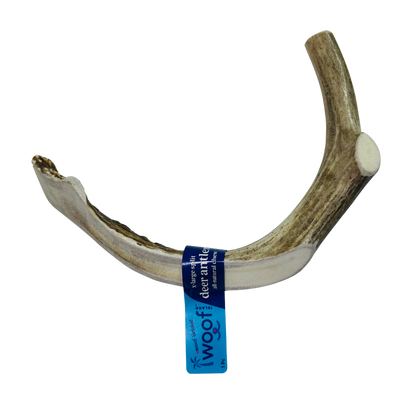 Deer Antler Chew for Dogs – XL