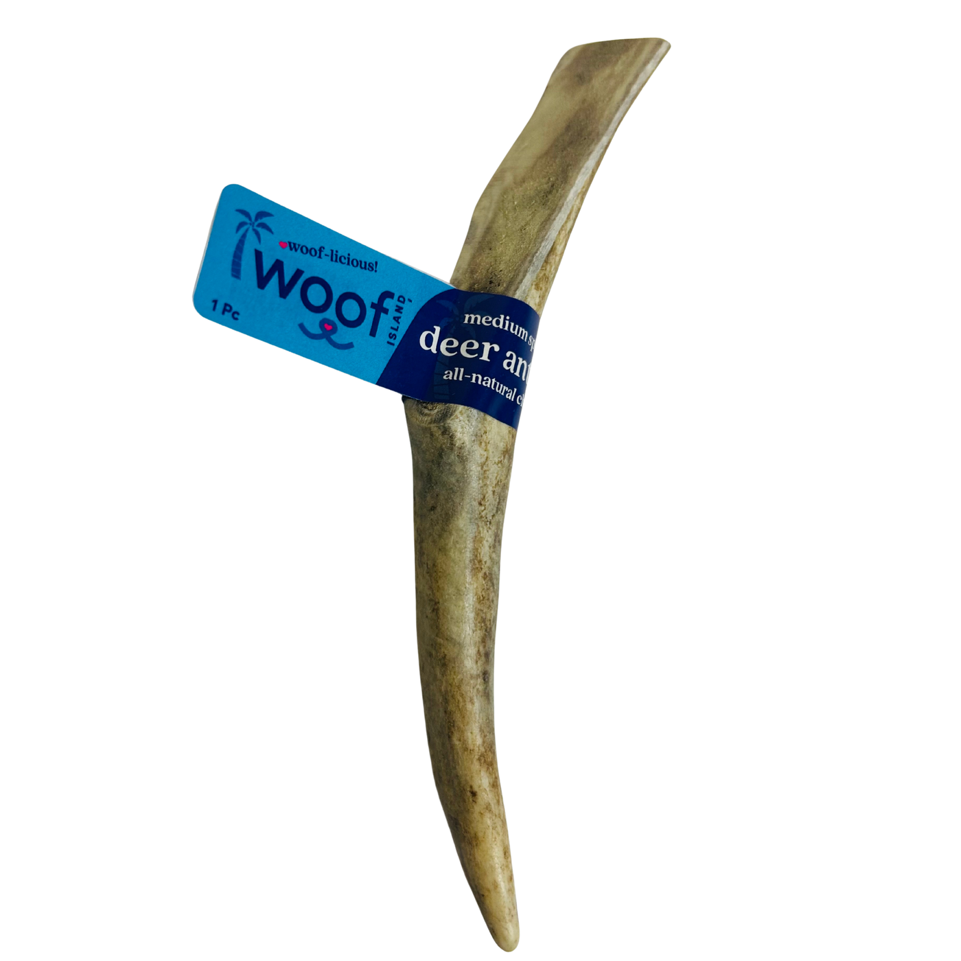 Medium Deer Antler Chews | Whole & Split | Grade A Natural Shed