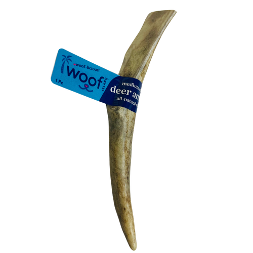 Medium Deer Antler Chews | Whole & Split | Grade A Natural Shed