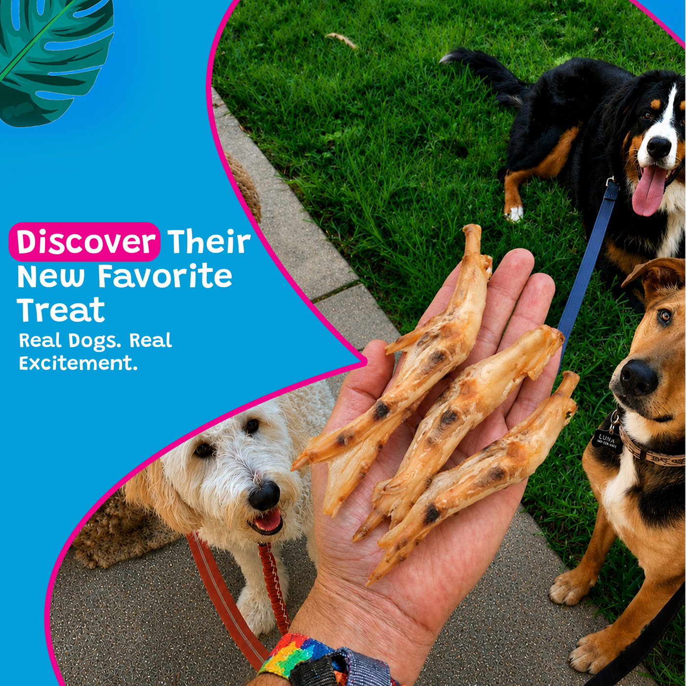 Woof Island Natural Duck Feet Dog Chew, High-Protein Crunchy Joint Support & Dental Treat for Dogs