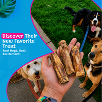 Woof Island Marrow Bone Dog Chew, Long-Lasting Natural Beef Bone for Aggressive Chewers 6 Inch
