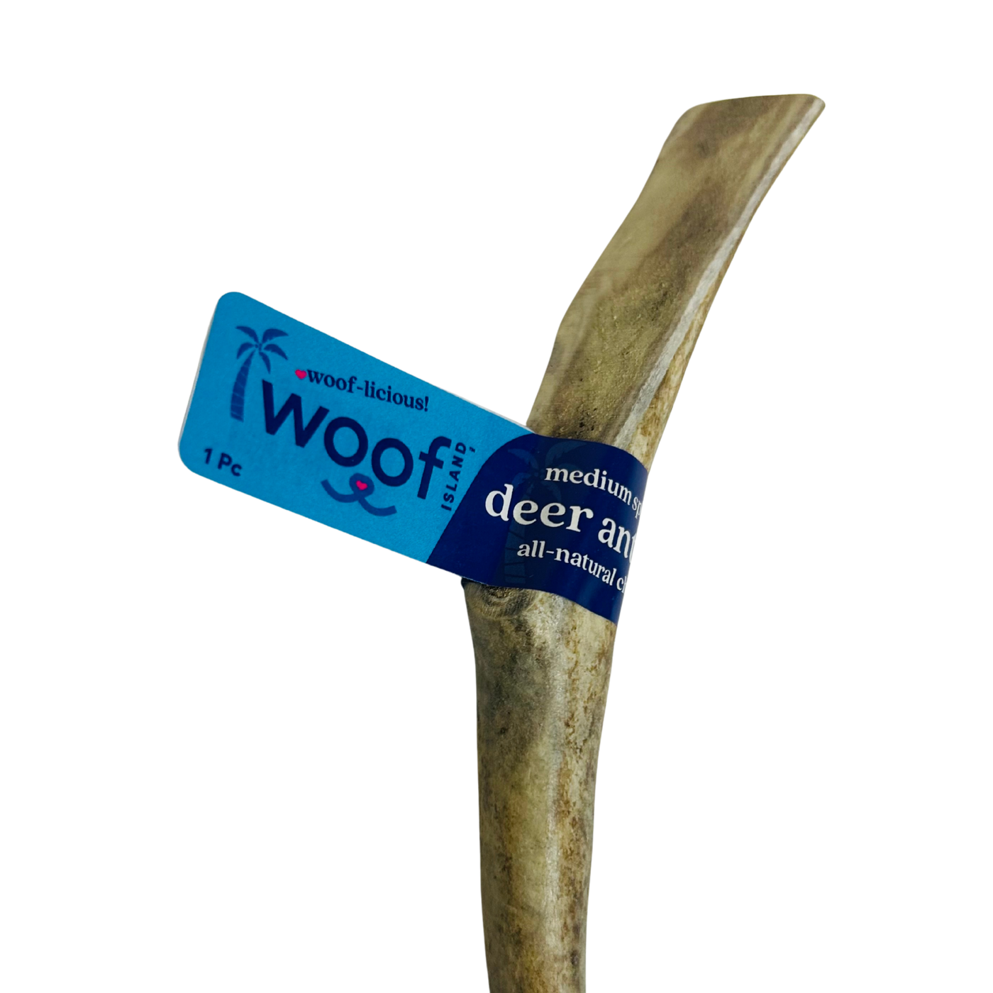 Medium Deer Antler Chews | Whole & Split | Grade A Natural Shed