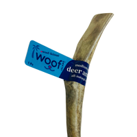 Medium Deer Antler Chews | Whole & Split | Grade A Natural Shed