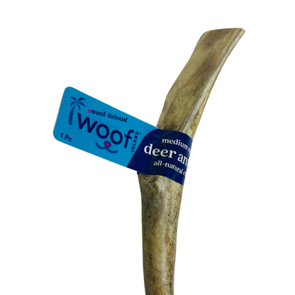 Medium Deer Antler Chews | Whole & Split | Grade A Natural Shed