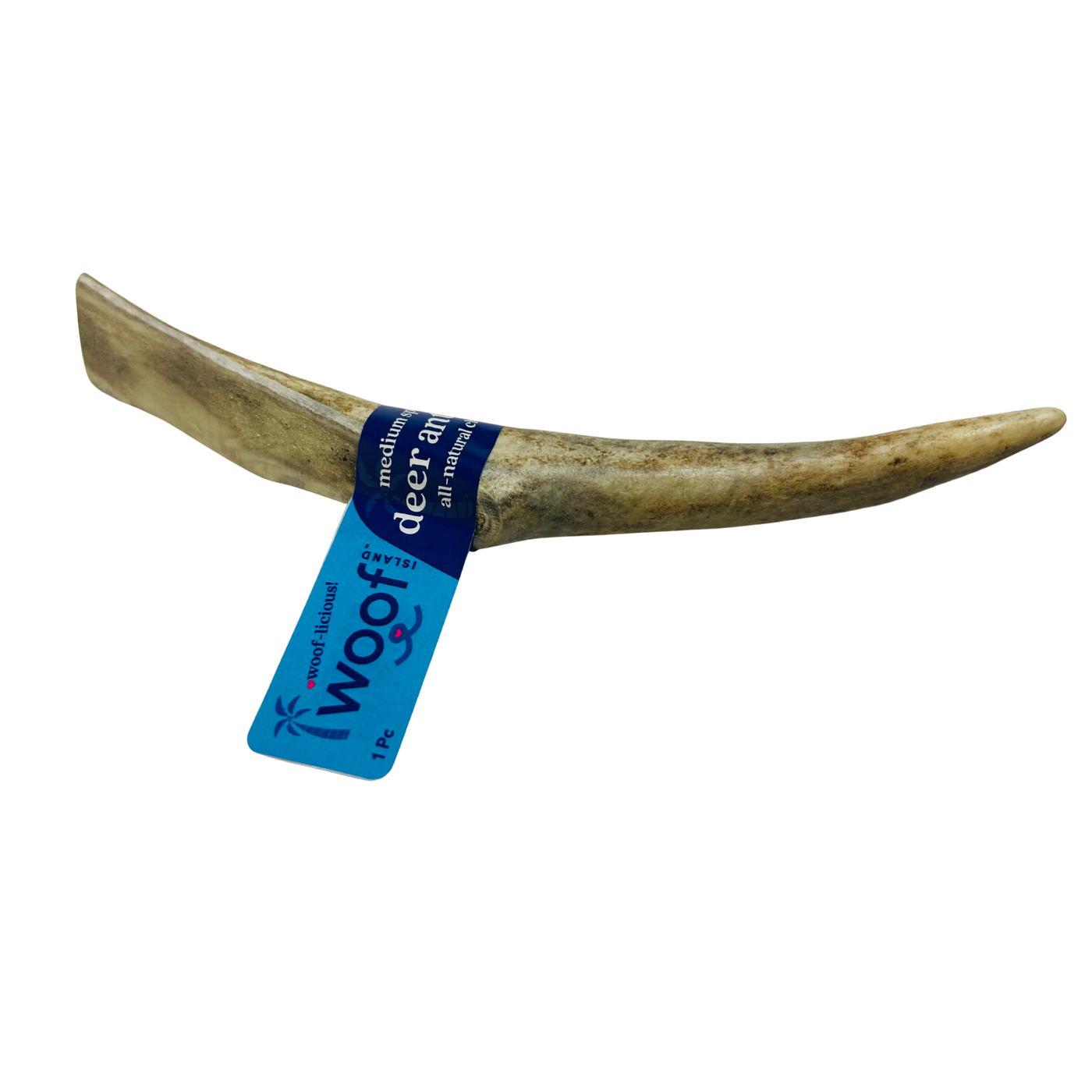 Medium Deer Antler Chews | Whole & Split | Grade A Natural Shed