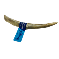 Medium Deer Antler Chews | Whole & Split | Grade A Natural Shed