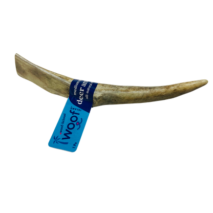 Medium Deer Antler Chews | Whole & Split | Grade A Natural Shed