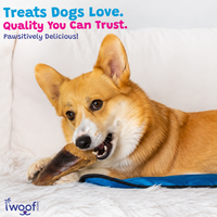 Woof Island Cow Hoof Peanut Butter Filled, Extra Tough Long-Lasting Natural Dog Chew for Aggressive Chewers