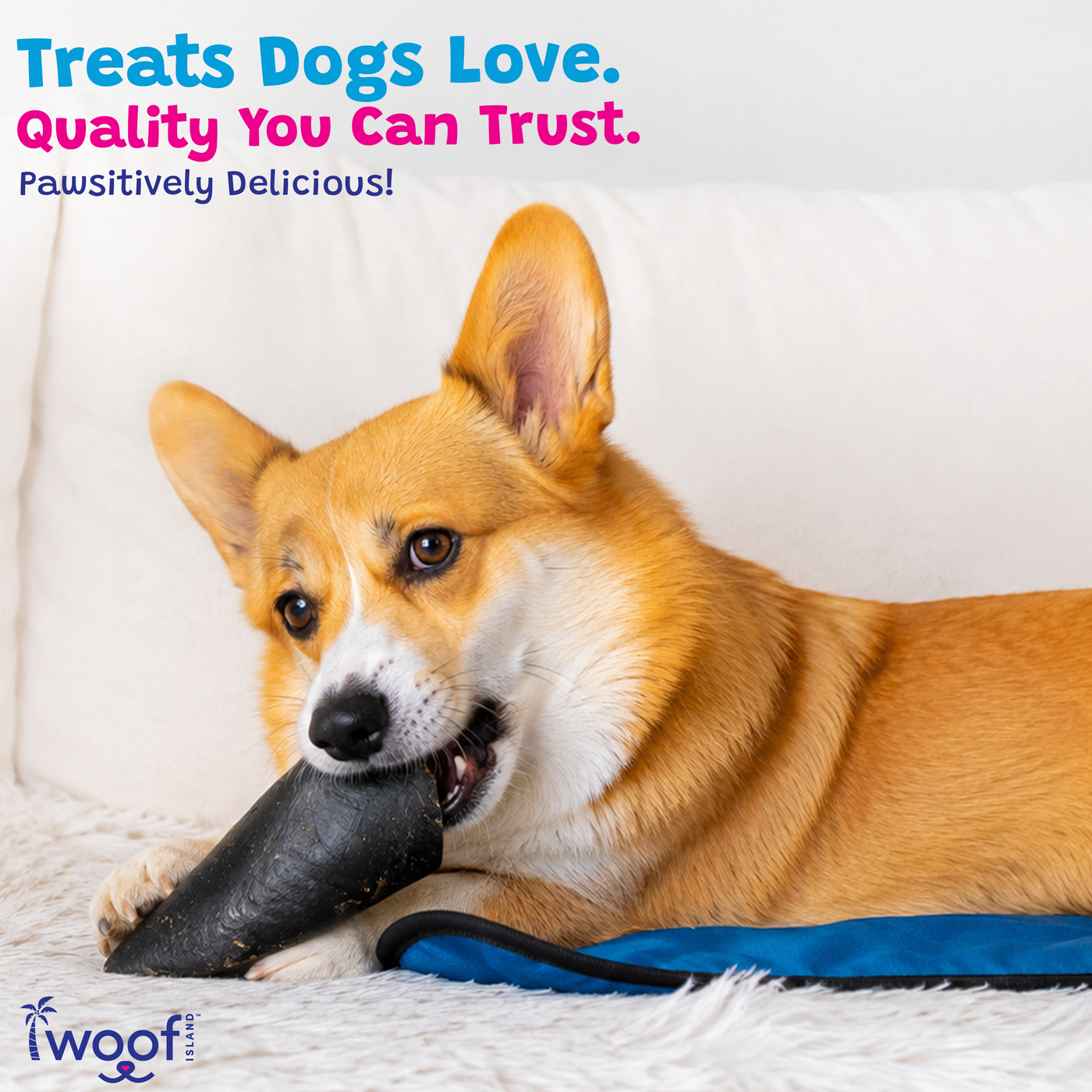 Woof Island Natural Cow Hoof No Filling, Extra Tough Long-Lasting Natural Dog Chew for Aggressive Chewers