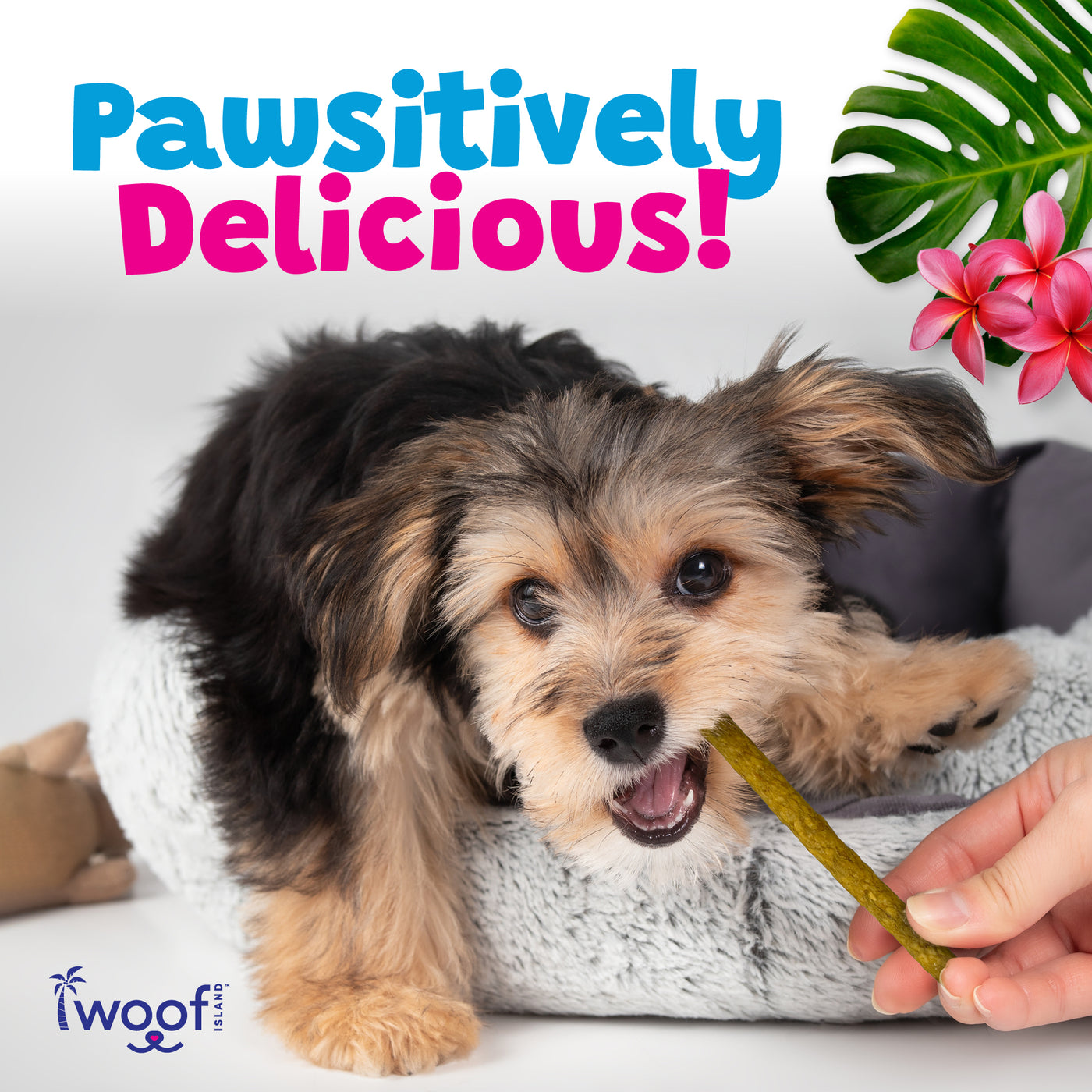 Woof Island Smoked Kalua Pork & Pineapple Dog Sticks, High-Value Training Treats for Dogs