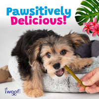 Woof Island Smoked Kalua Pork & Pineapple Dog Sticks, High-Value Training Treats for Dogs