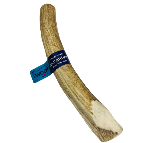 Deer Antler Chew for Dogs – XL