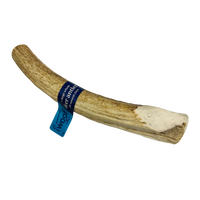Deer Antler Chew for Dogs – XL