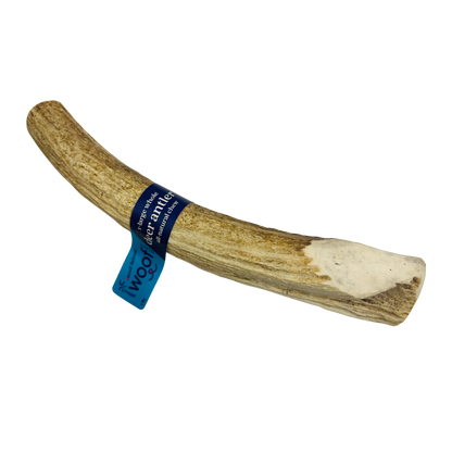 Deer Antler Chew for Dogs – XL