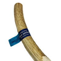 Deer Antler Chew for Dogs – XL