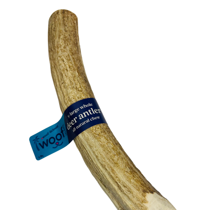 Deer Antler Chew for Dogs – XL