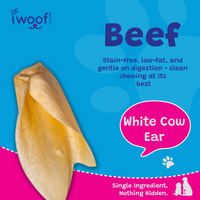 Woof Island White Cow Ear Dog Chew, Natural, Clean Low-Fat Stain-Free Dental Treat for Dogs