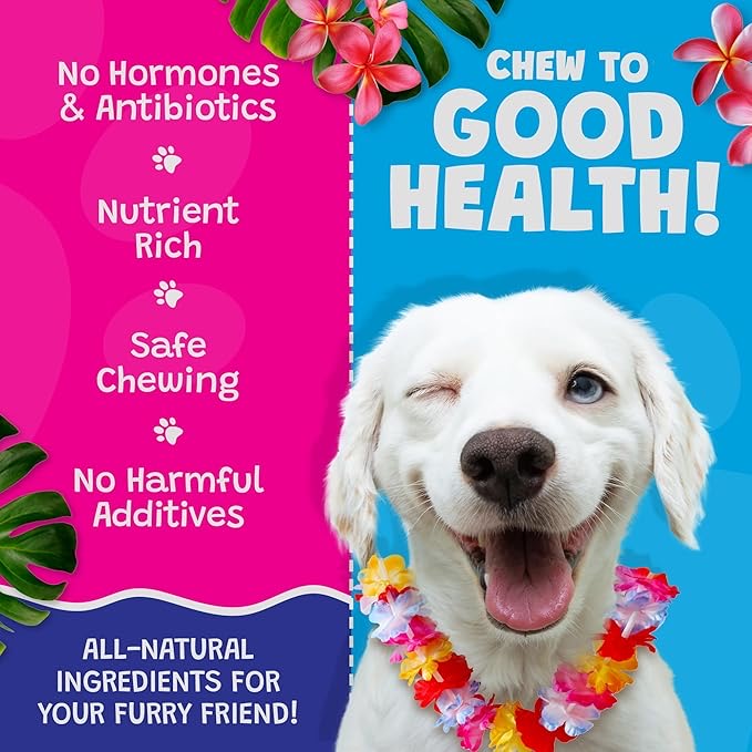Woof Island Coconut & Banana Pork Rolls with Real Chicken Dog Chew, Rawhide-Free & Highly Digestible Dental Treat for Dogs