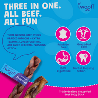 Woof Island Braided Beef Bully Stick, Odor-Free All Natural Single Ingredient Rawhide-Free Dog Chew for Aggressive Chewers 6 Inch