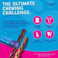 Woof Island Braided Beef Bully Stick, Odor-Free All Natural Single Ingredient Rawhide-Free Dog Chew for Aggressive Chewers 12 Inch