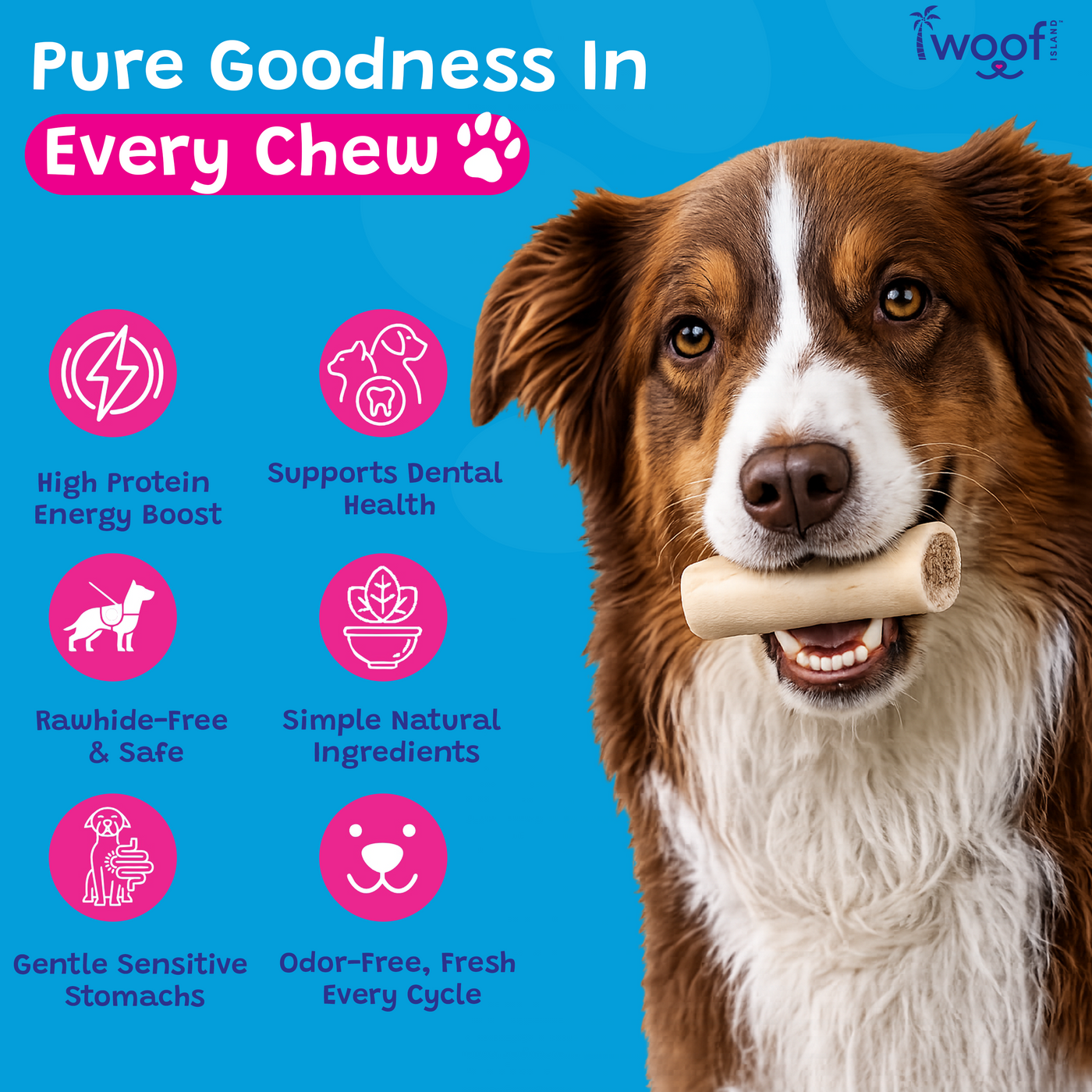 Woof Island Peanut Butter Filled Bone Dog Chew, Long-Lasting Natural Bone for Aggressive Chewers 3–4 Inch