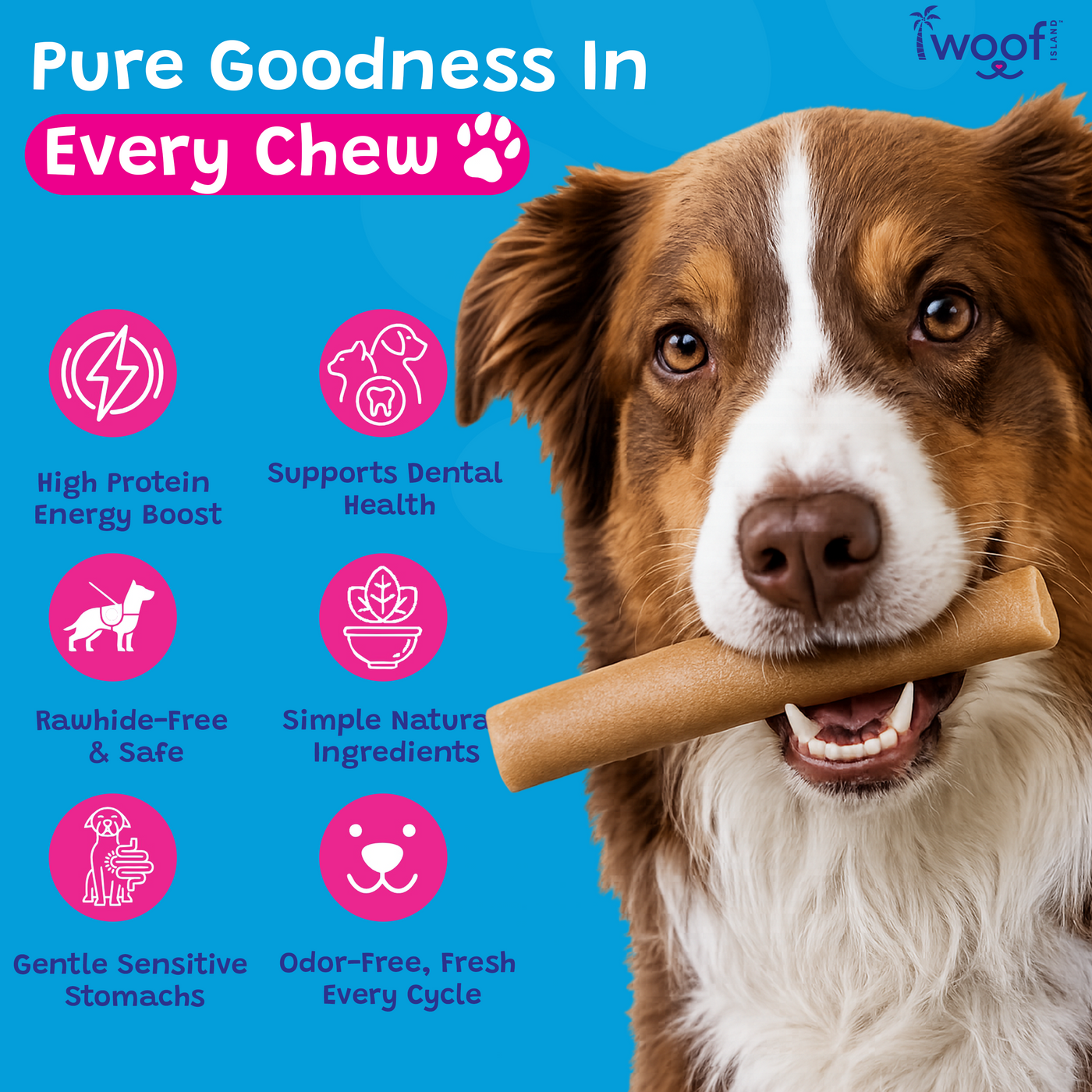 Woof Island Himalayan Yak Cheese Dog Chew, 100% Lactose-Free, Grain-Free & Long-Lasting Hard Cheese Chew 5–6 oz