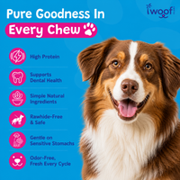 Woof Island Braided Beef Collagen Dog Chew, Long-Lasting Natural Collagen Chew for Aggressive Chewers 12 Inch
