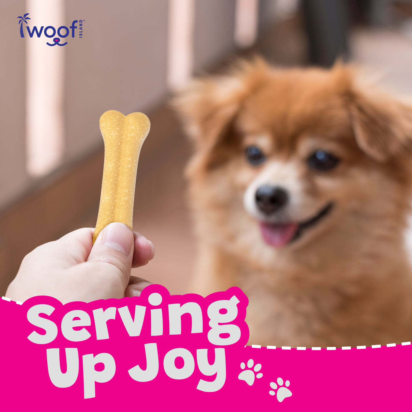 Woof Island Coconut Bone Dog Chew, Rawhide-Free & Highly Digestible Dental Treat for Dogs