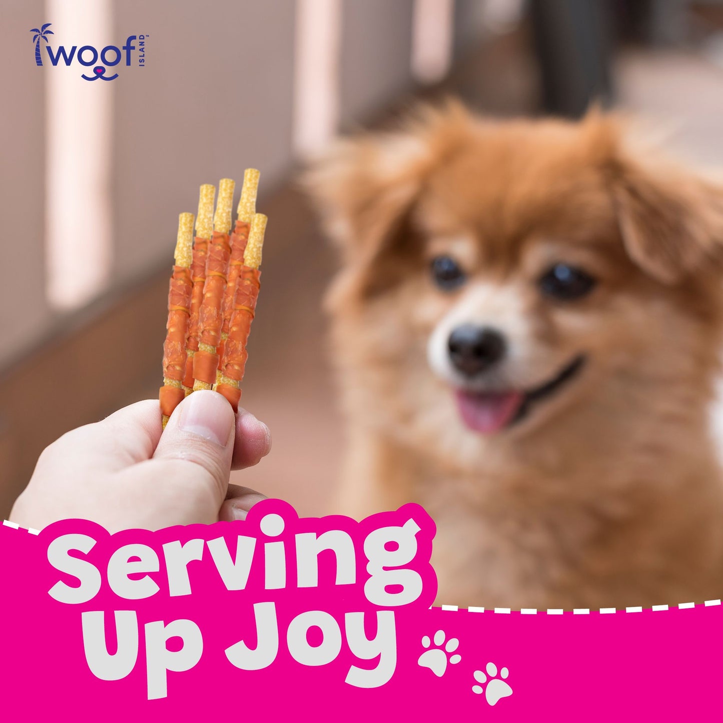 Woof Island Coconut Twist Stick with Chicken Dog Chew, Rawhide-Free & Highly Digestible Dental Treat for Dogs