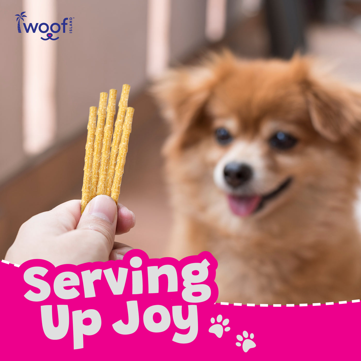 Woof Island Coconut Twist Stick Dog Chew, Rawhide-Free & Highly Digestible Dental Treat for Dogs