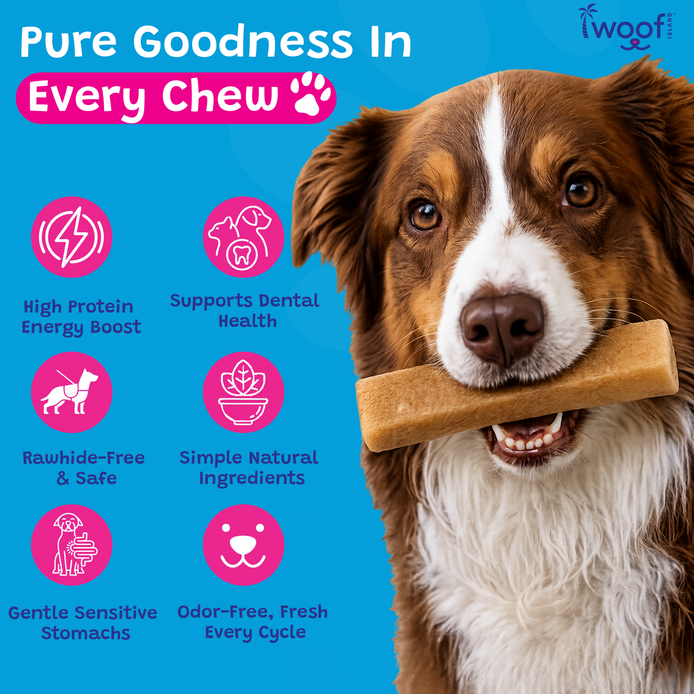 Woof Island Himalayan Yak Cheese Dog Chew, 100% Lactose-Free, Grain-Free & Long-Lasting Hard Cheese Chew 3–4 oz