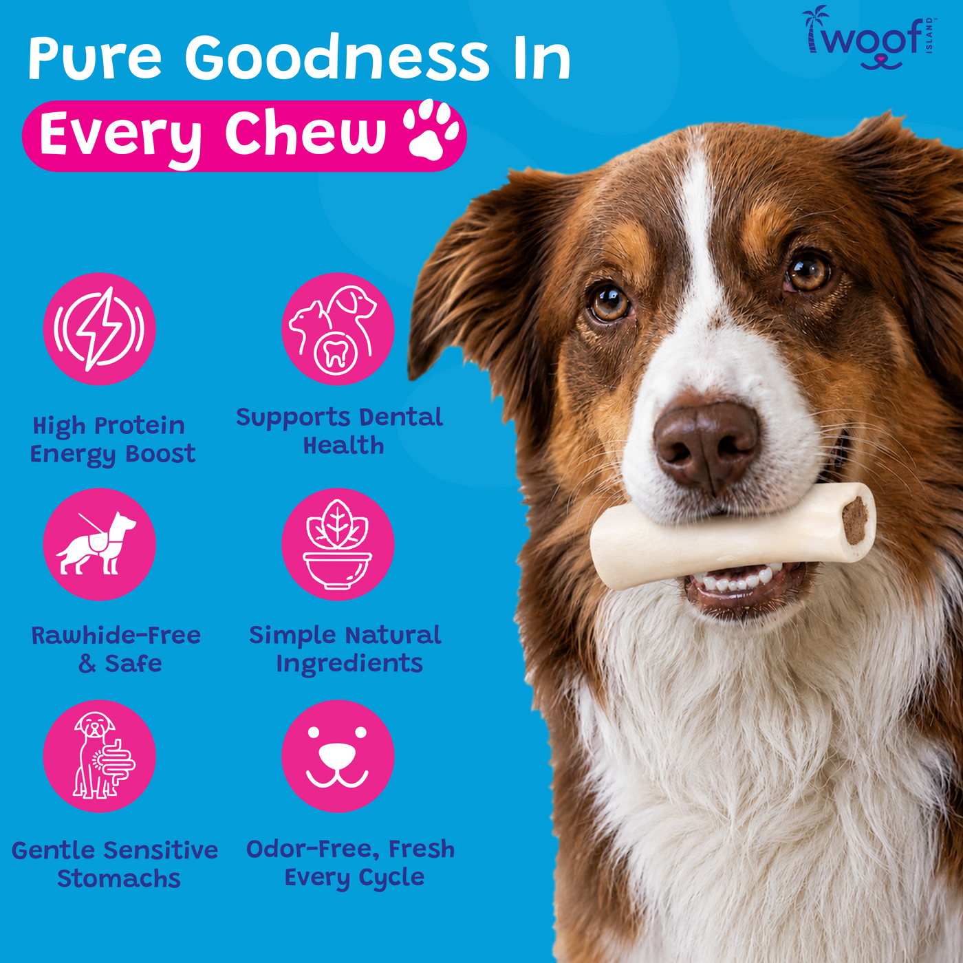 Woof Island Cheese & Bacon Filled Bone Dog Chew, Long-Lasting Natural Bone for Aggressive Chewers 3–4 Inch