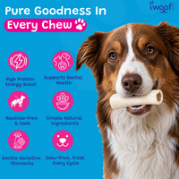 Woof Island Cheese & Bacon Filled Bone Dog Chew, Long-Lasting Natural Bone for Aggressive Chewers 3–4 Inch