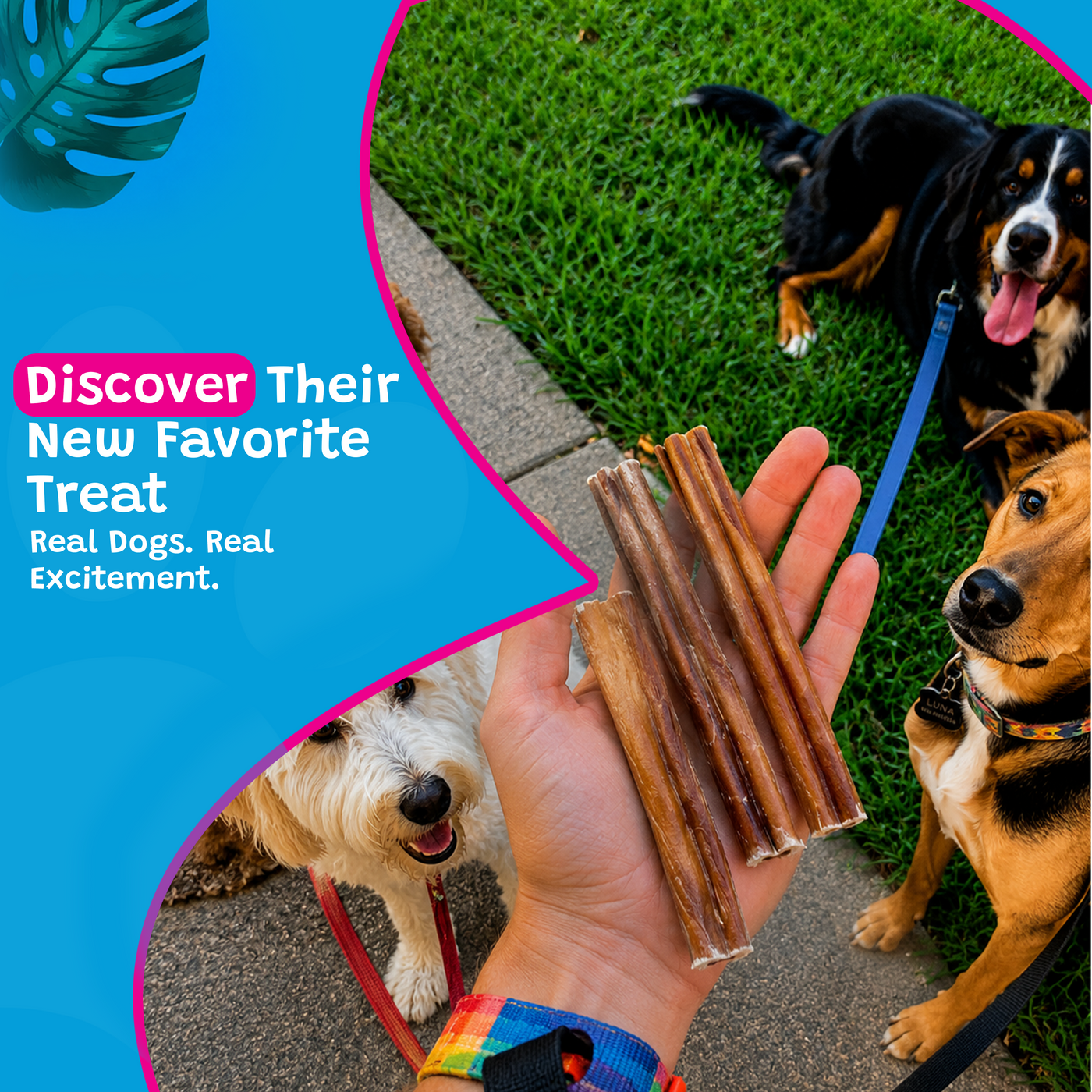 Woof Island Jumbo Beef Bully Stick, All Natural Single Ingredient Rawhide-Free Dog Chew for Aggressive Chewers 6 Inch