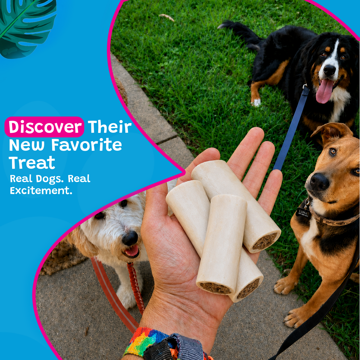 Woof Island Cheese & Bacon Filled Bone Dog Chew, Long-Lasting Natural Bone for Aggressive Chewers 5–6 Inch