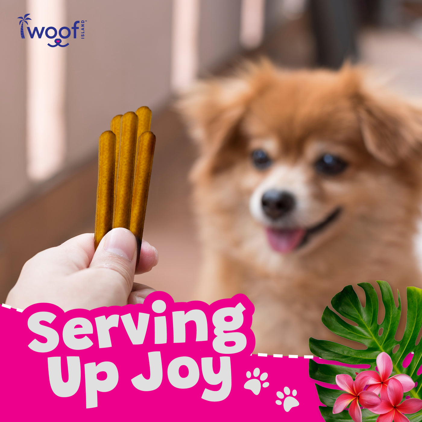Woof Island Smoked Kalua Pork Rolls with Pineapple, High-Protein Dog Chews