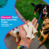 Woof Island Cheese & Bacon Filled Bone Dog Chew, Long-Lasting Natural Bone for Aggressive Chewers 3–4 Inch