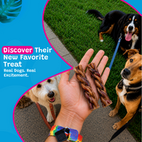 Woof Island Braided Beef Bully Stick, Odor-Free All Natural Single Ingredient Rawhide-Free Dog Chew for Aggressive Chewers 6 Inch