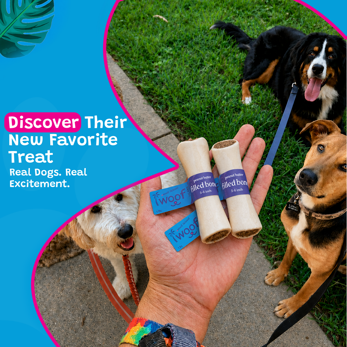 Woof Island Peanut Butter Filled Bone Dog Chew, Long-Lasting Natural Bone for Aggressive Chewers 5–6 Inch