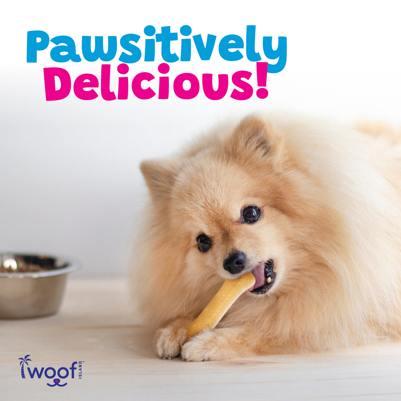Woof Island Coconut Bone Dog Chew, Rawhide-Free & Highly Digestible Dental Treat for Dogs