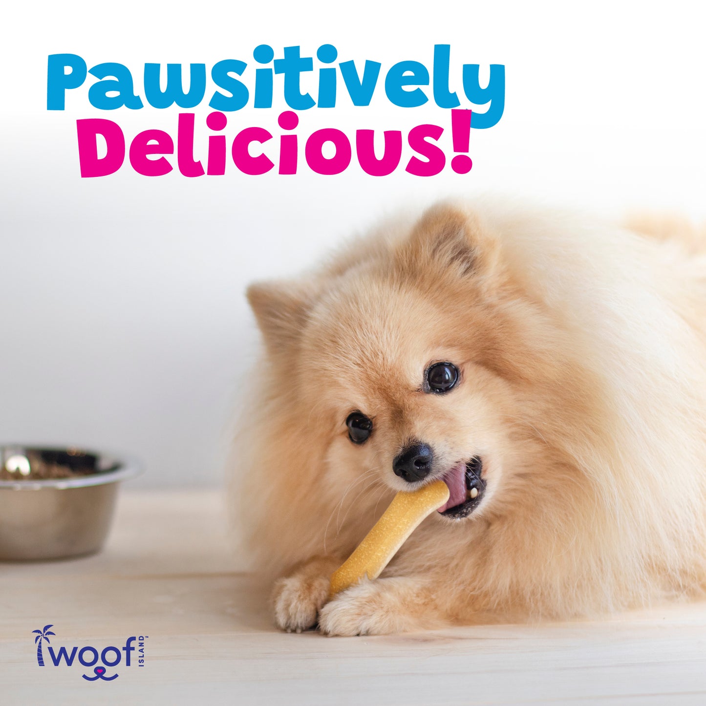 Woof Island Coconut Bone Dog Chew, Rawhide-Free, Highly Digestible Dental Treat for Dogs