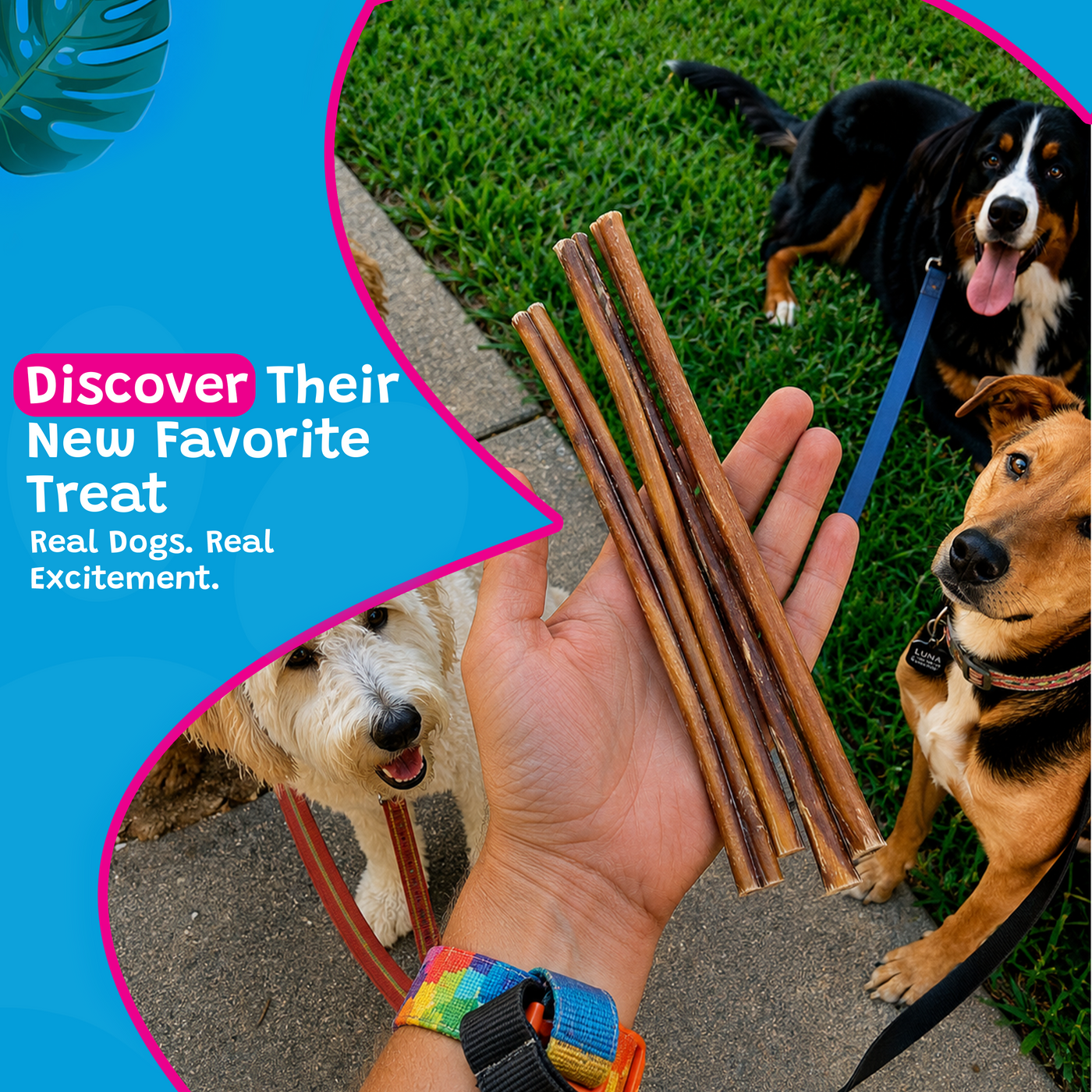 Woof Island Beef Collagen Stick, Long-Lasting Natural Collagen Rawhide-Free Dog Chew for Aggressive Chewers 12 Inch