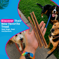 Woof Island Beef Collagen Stick, Long-Lasting Natural Collagen Rawhide-Free Dog Chew for Aggressive Chewers 12 Inch