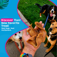 Woof Island Whole Pig Ear Dog Chew, Natural High-Protein Crunchy Dental Treat for Dogs