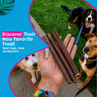 Woof Island Jumbo Beef Bully Stick, Thick Odor-Free All Natural Single Ingredient Dog Chew for Aggressive Chewers 12 Inch